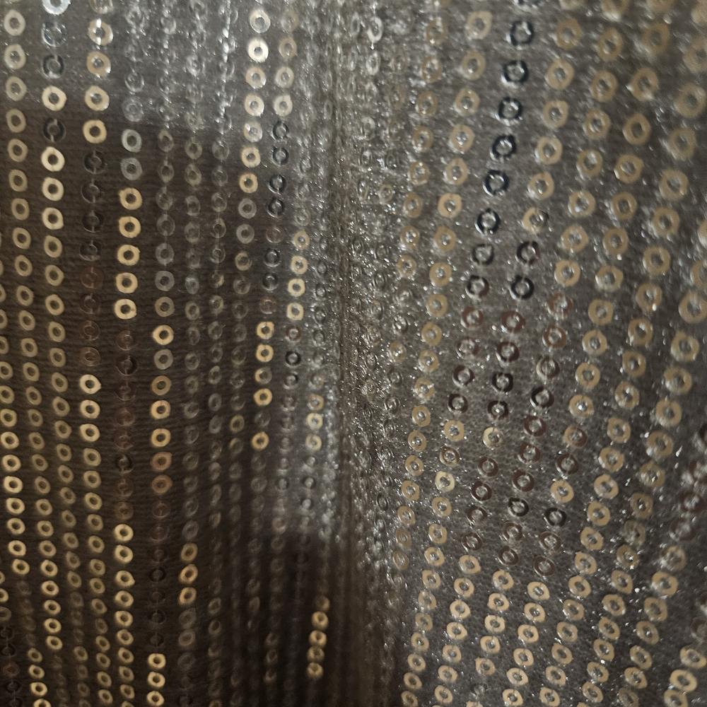 Silver Sequin Flare Pants - Picture 3 of 6